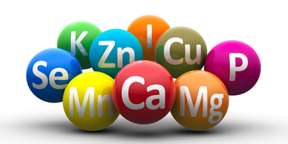 minerali magnezij, kalcij, fluor, cink, natrij, željezo, kalij